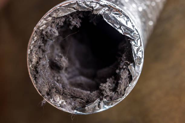 Best General Air Duct Cleaning  in Stroville, CA